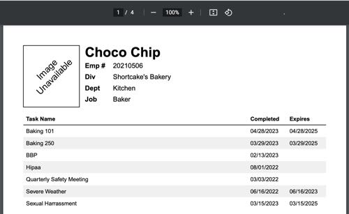 Preview of Choco Chip's Training Transcript.